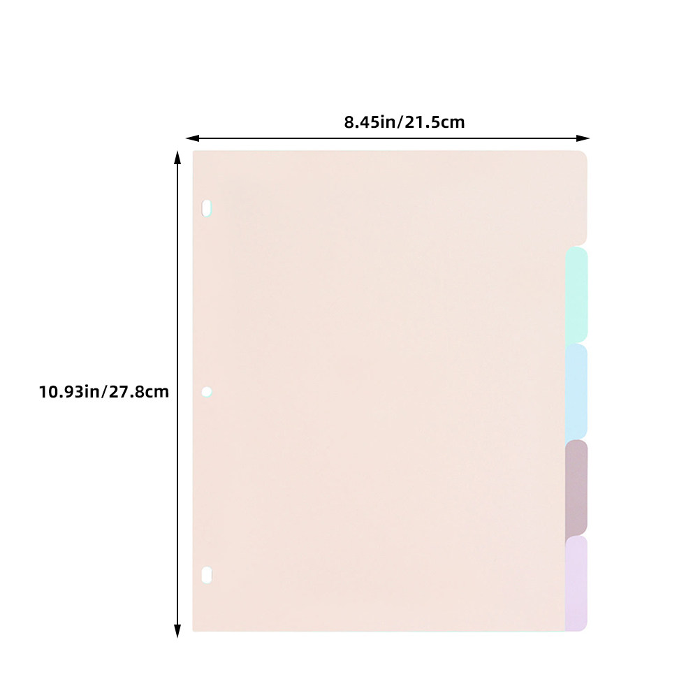 1Set Frosted PP A4 Binder Divi - Tab Divider A4 recension och pris